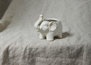 
                
                    Load image into Gallery viewer, Elephant Pot- 2 Sizes
                
            